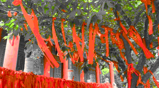 QQ截图20130606134814.gif