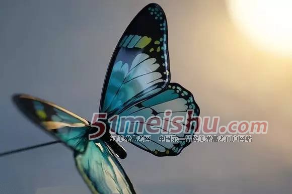 EC75D863_0wx_fmtjpeg.JPG