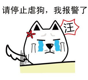 13.gif