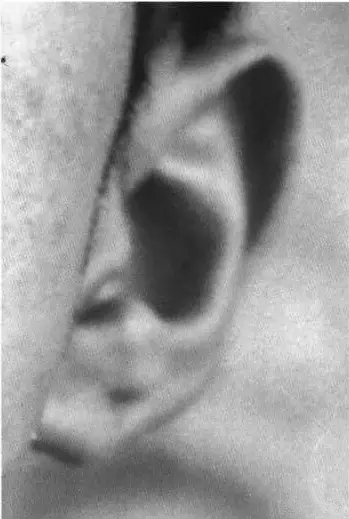 素描头像局部耳朵