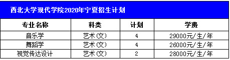 西北大学现代学院2020年艺术类本科招生计划