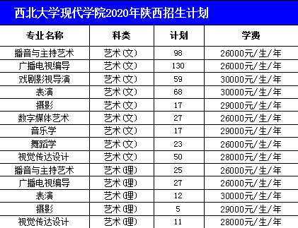 西北大学现代学院2020年艺术类本科招生计划