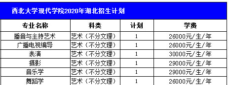 西北大学现代学院2020年艺术类本科招生计划