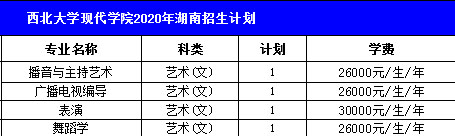 西北大学现代学院2020年艺术类本科招生计划