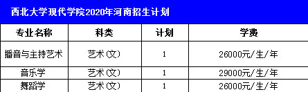 西北大学现代学院2020年艺术类本科招生计划