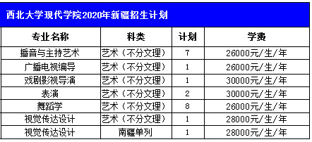 西北大学现代学院2020年艺术类本科招生计划